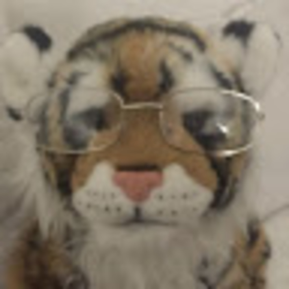 Meet your Posher, Sofia